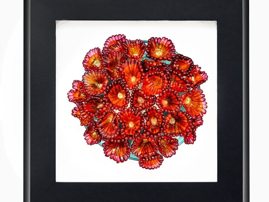CORAL POLYP CLUSTER