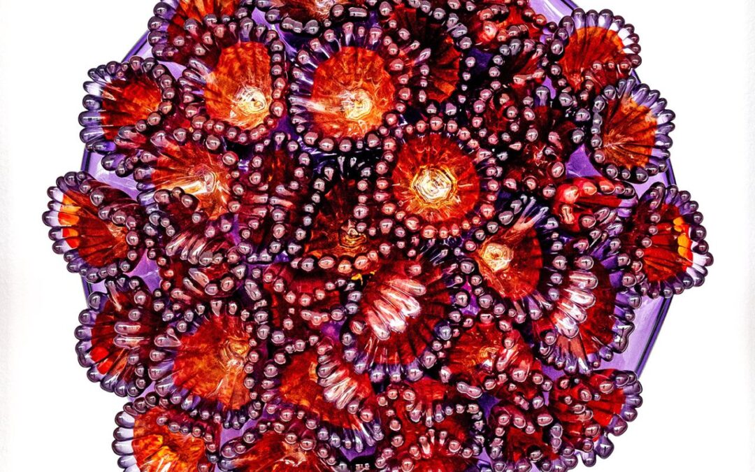 Coral Polyp Cluster in Saffron, Cherry & Purple